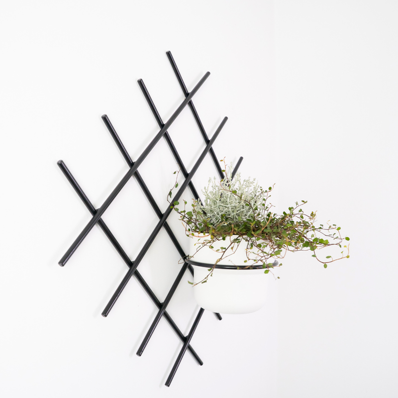 Kwietnik wiszący Pilo Verdi