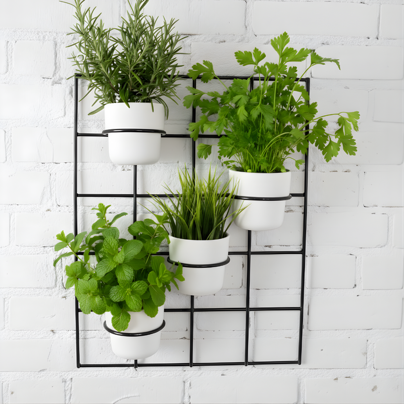 Kwietnik wiszący Plantis