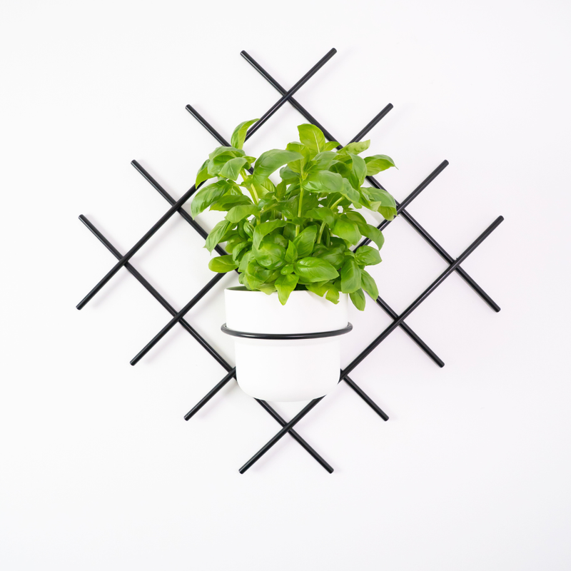 Kwietnik wiszący Pilo Verdi