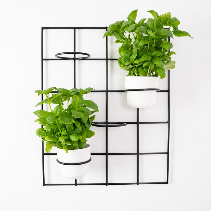 Kwietnik wiszący Plantis