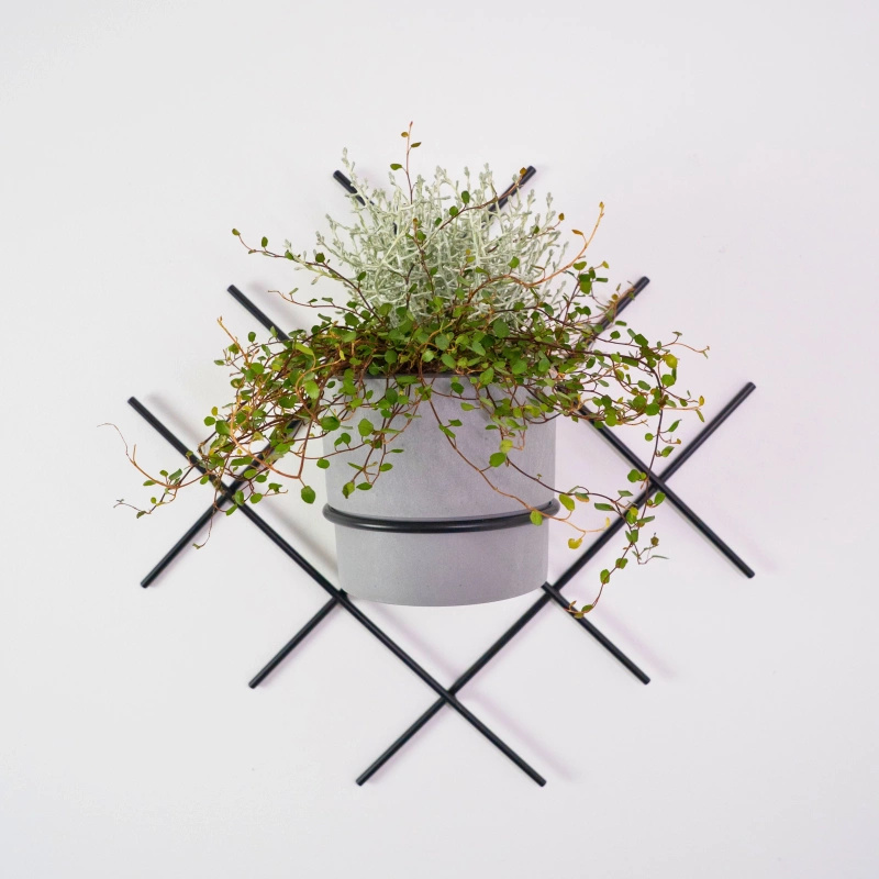 Kwietnik wiszący Omnis Cratis