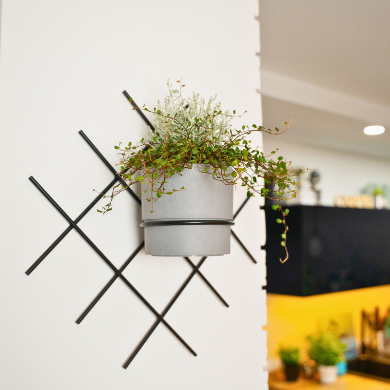 Kwietnik wiszący Omnis Cratis