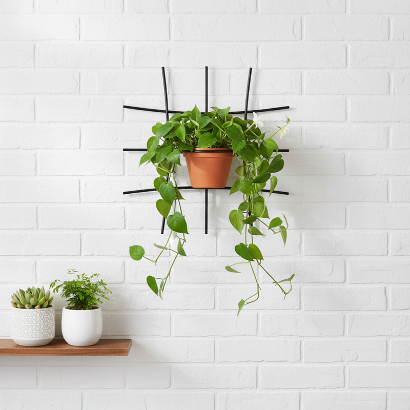 Kwietnik wiszący Omnis Arcus