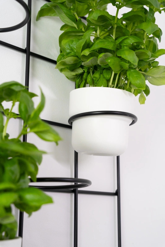 Kwietnik wiszący Plantis