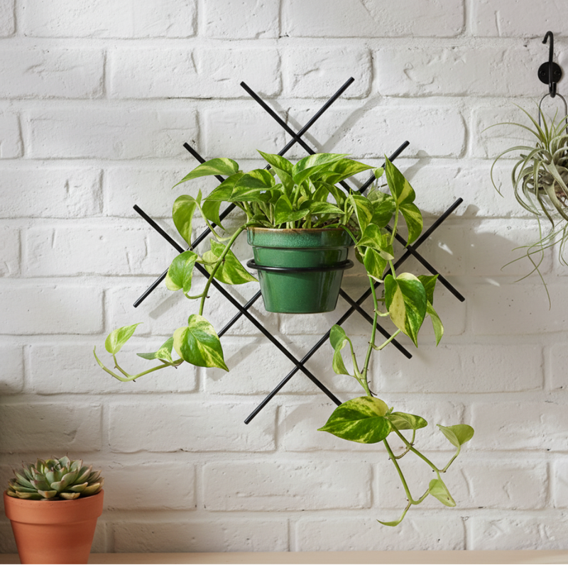 Kwietnik wiszący Omnis Cratis