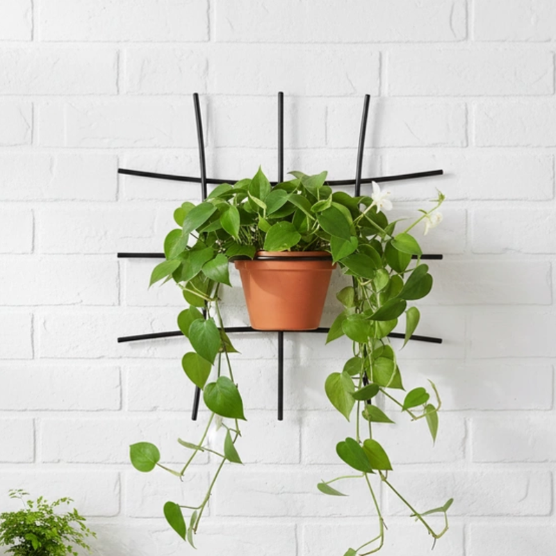 Kwietnik wiszący Omnis Arcus